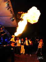Zissel 2010